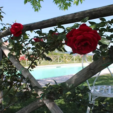 Agriturismo La Paciarella Campiglia dʼOrcia