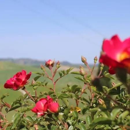 Agriturismo La Paciarella * Campiglia dʼOrcia